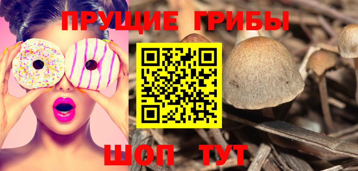Галлюциногенные грибы мицелий  Вход с VPN  Вязники  Псилоцибиновые грибы MAGIC MUSHROOMS 